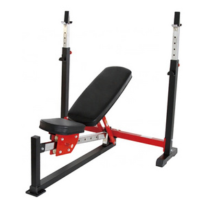 Strength Standard Bench Weight Lifting Barbell Bench