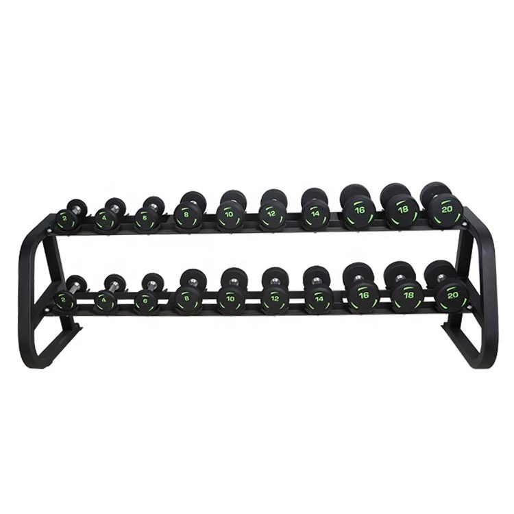 RIAO Commercial Dumbbell Set Weight Rack 2 Tire For Gym