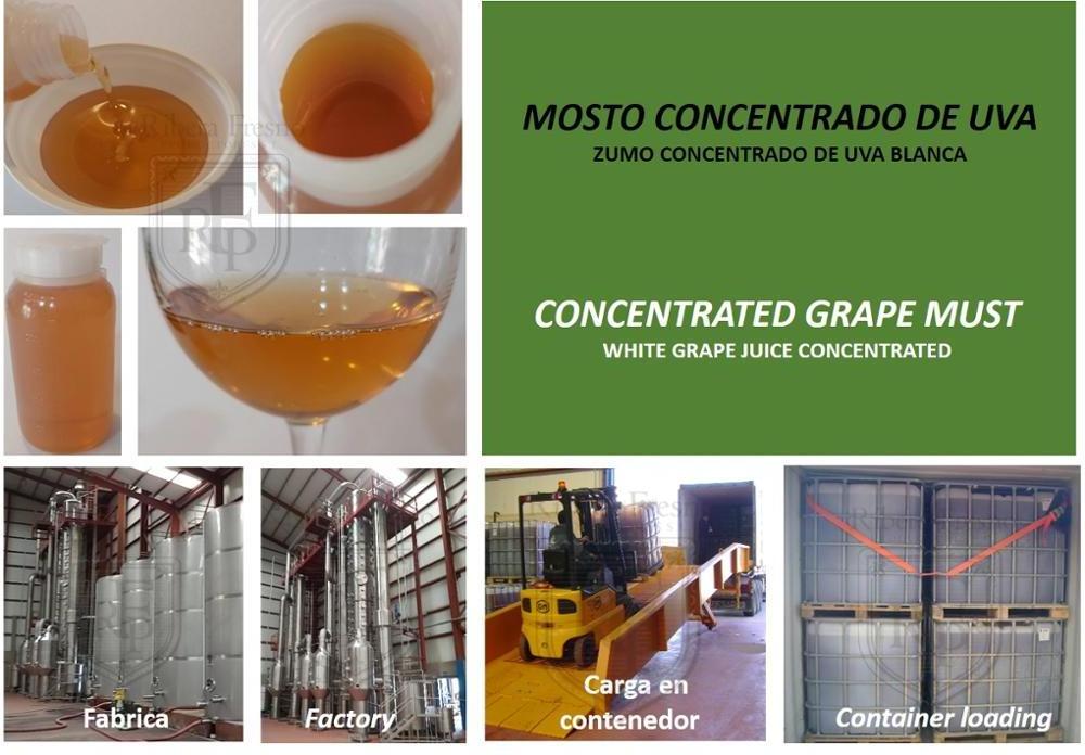 Fruit Concentrate and Puree