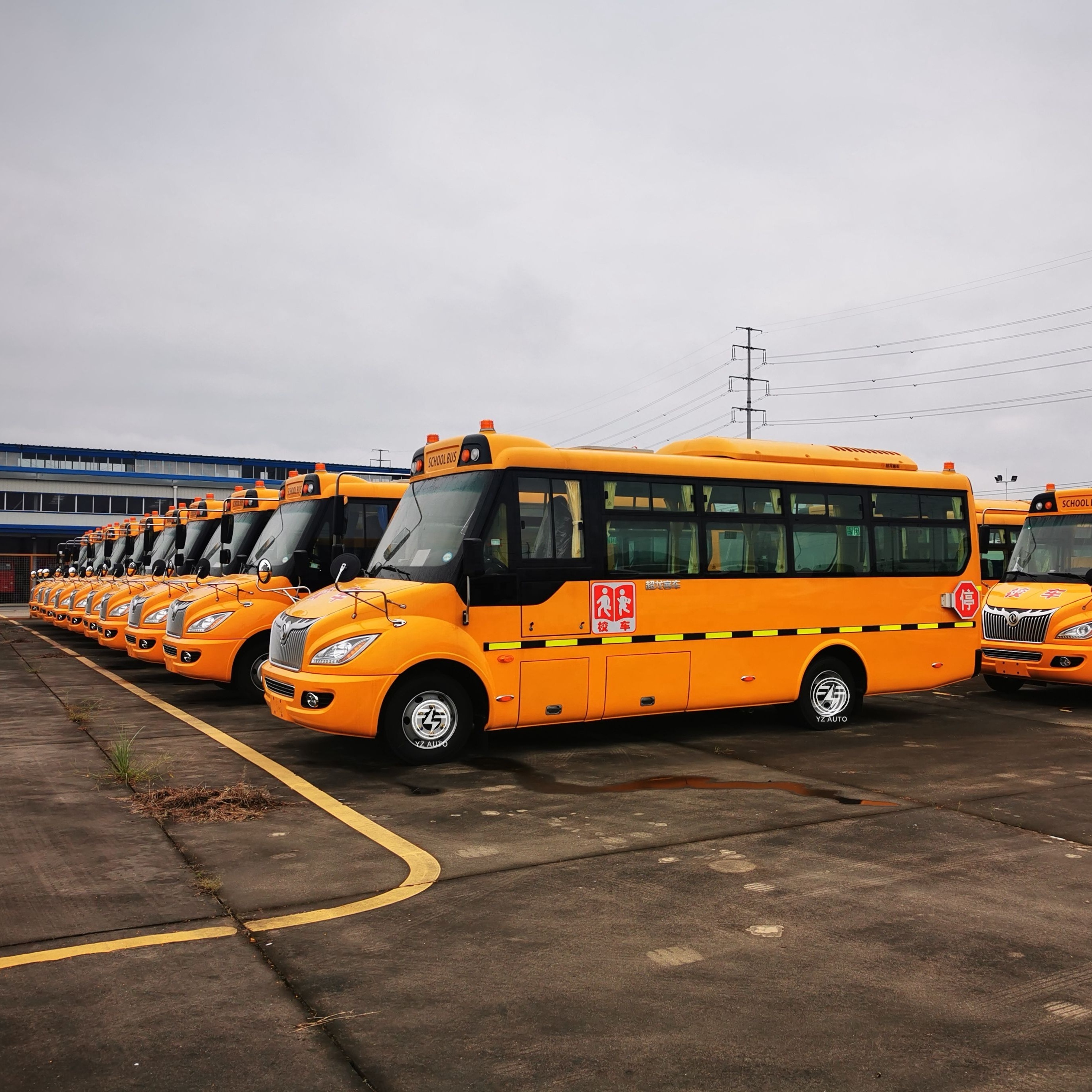 Safety Comfortable School Bus Cheap Price Sale Customized Model Dongfeng 24-42seats Hubei 80 Used Cars Wholesale in Japan Manual