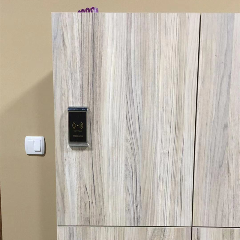 Furniture lock electronic cabinet lock/electronic locker lock for hotel and apartment