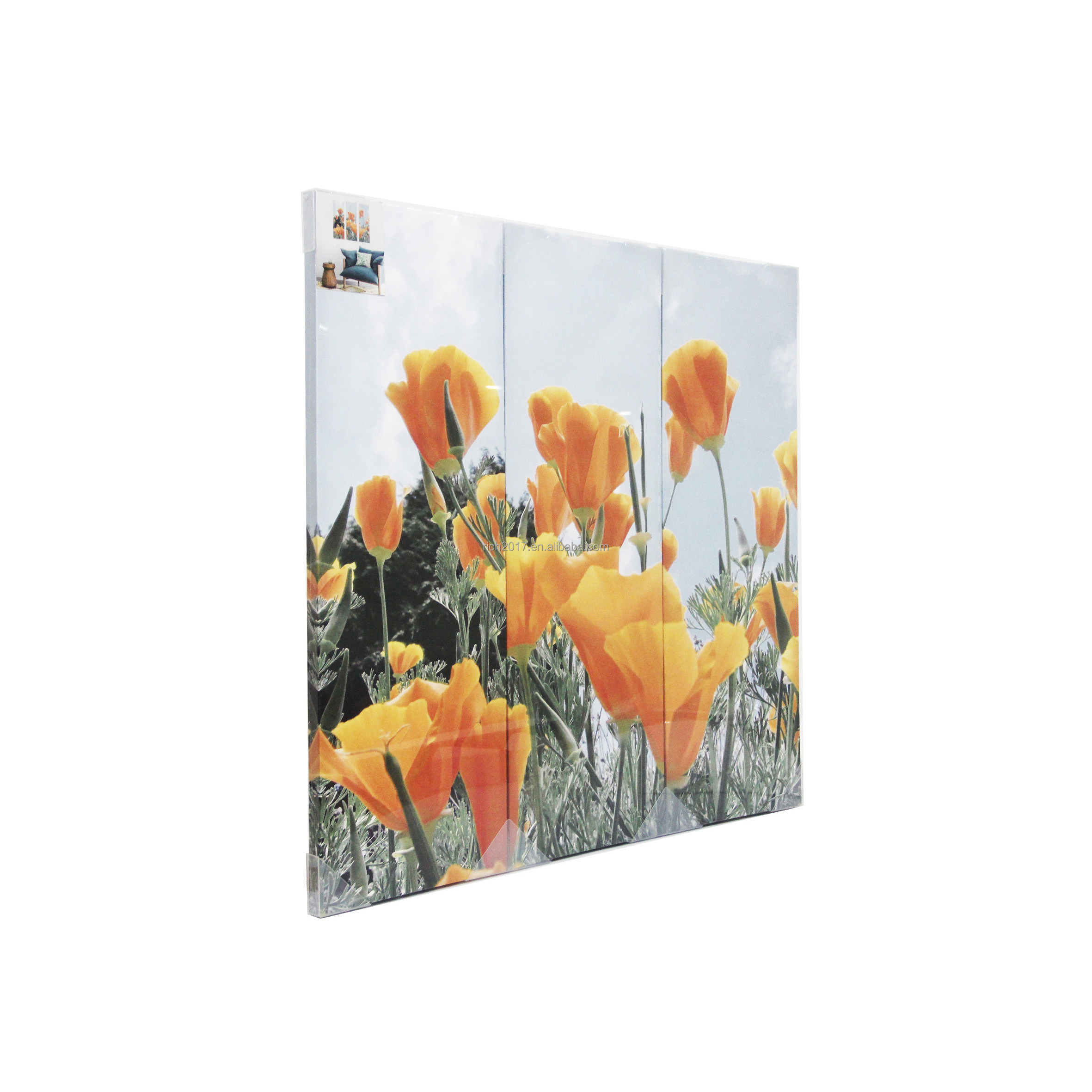 Set Wall Art 3pcs Panels Tulips Flowers Framed Canvas Paintings Pictures Photo Decorative Wall Hangings Posters