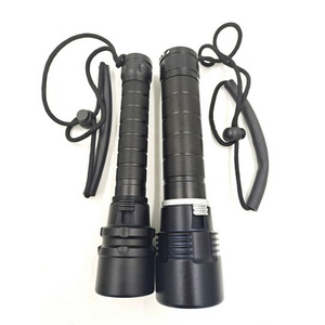 Promotional OEM Competitive Price Mini Flashlight Keychain Bulk