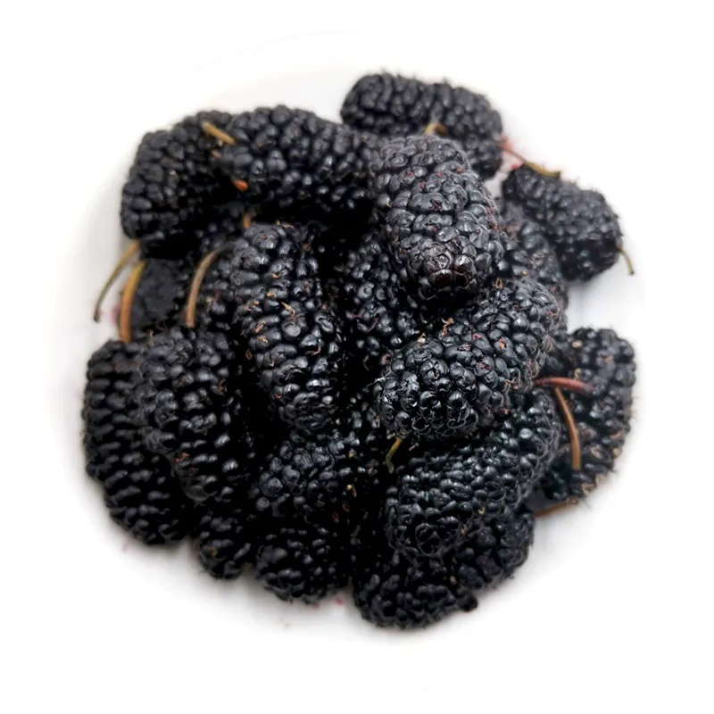 Natural No Additives Freeze Dried Black Mulberry Freeze Dried Mulberries