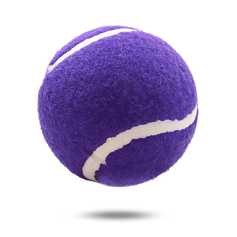 Purple Pet Squeaky Tennis Ball with Squeaker Tennis Ball Dog Toy