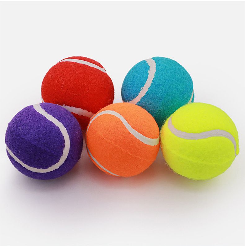 Purple Pet Squeaky Tennis Ball with Squeaker Tennis Ball Dog Toy