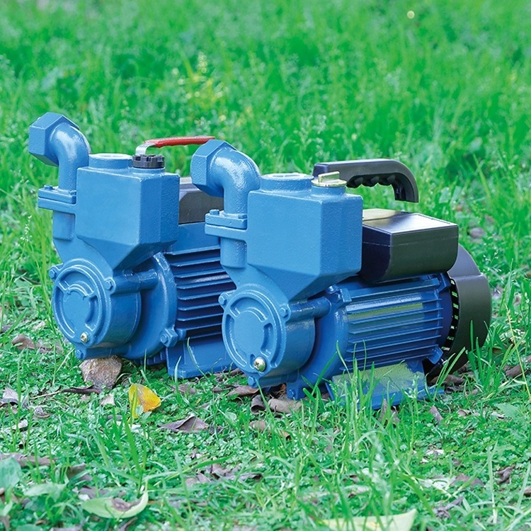 Factory Supply  1ZDB Self Priming Water Pump  0.37KW Pumps For Iraq Market