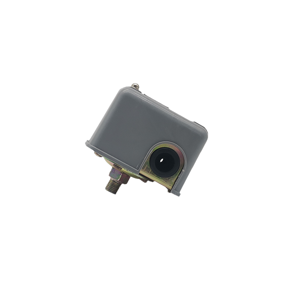 RUIQI Low-priced High Quality 2023 New design High Quality  Water Pump Accessories Pressure Switch