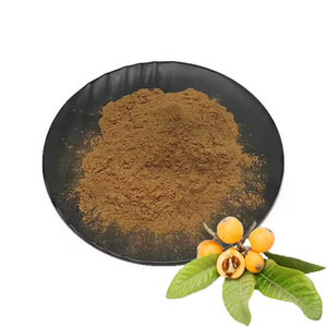 Nature Plant Extract Loquat Leaf Powder Gold Standard Natural Loquat Leaf Extract 5:1 10:1 20:1  Loquat Leaf Powder