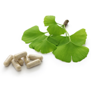 Healthcare 100% Natural Herbs Nutrifirst Ginkgo Biloba Leaves Extract Capsules Ginkgo Biloba Capsules For Teens