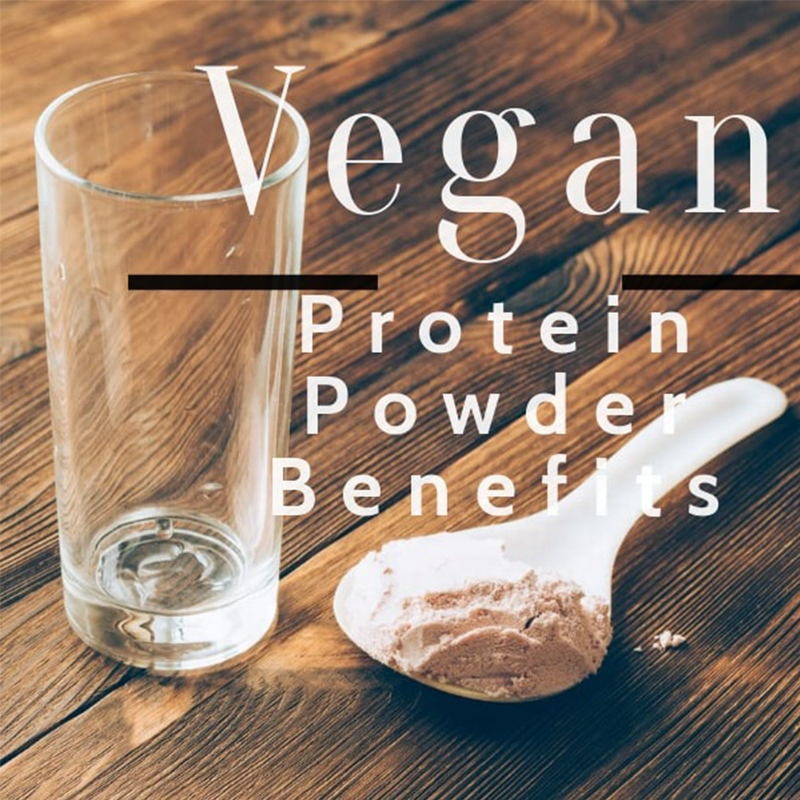 Private Labels Natural Plant Based Protein Weight Loss Fast Dissolving Supplement Meal Organic Vegan Protein Powder