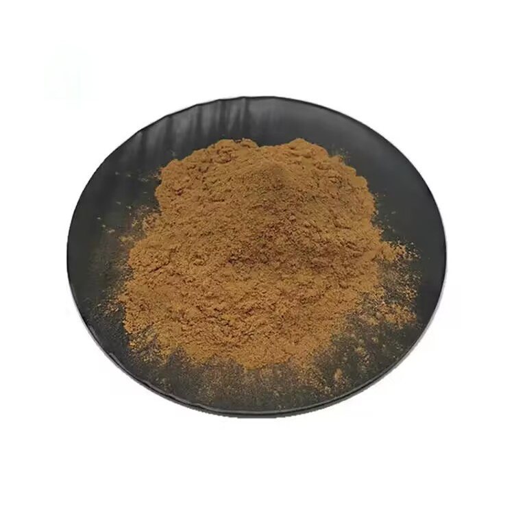 Nature Plant Extract Loquat Leaf Powder Gold Standard Natural Loquat Leaf Extract 5:1 10:1 20:1  Loquat Leaf Powder