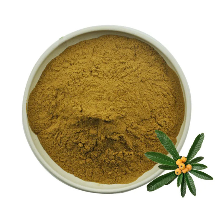 Nature Plant Extract Loquat Leaf Powder Gold Standard Natural Loquat Leaf Extract 5:1 10:1 20:1  Loquat Leaf Powder