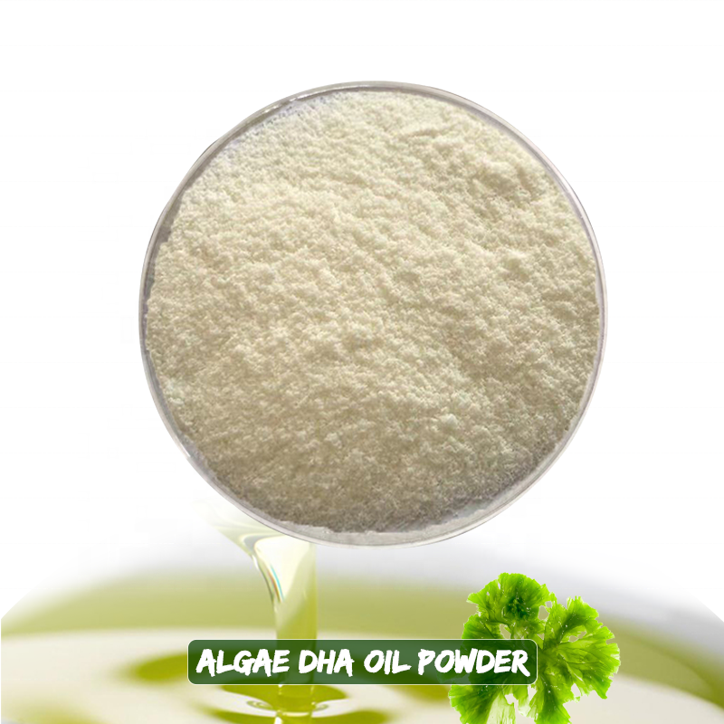 Omegas New Product 2022 Popular Food Additives Dha Docosahexaenoic Acid Algae Oil Powder Dha Powder Algae Oil Powder