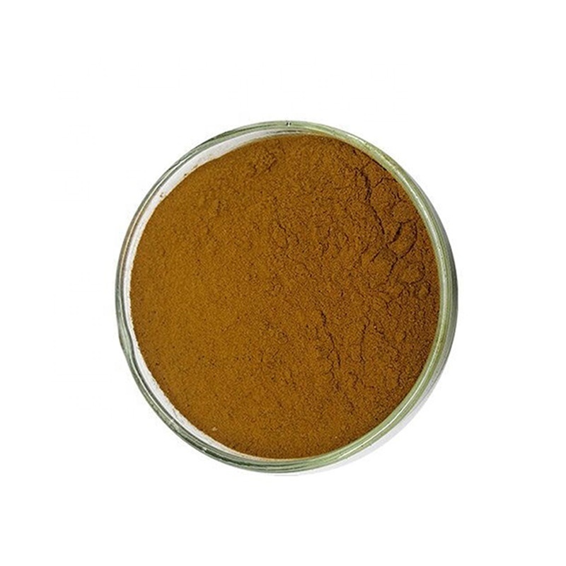 Best Price Natural Halal Certificate Organic Enoki Mushroom Extract Powder 10%-50% For Healthcare Supplement Use