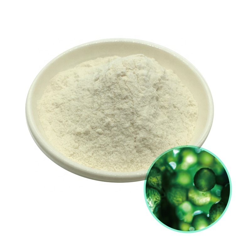 OEM Algae Oil Powder 100% Pure Healthcare Supplement Docosahexaenoic Acid Dha Epa 11% Omega 3 Algal Oil Dha Powder