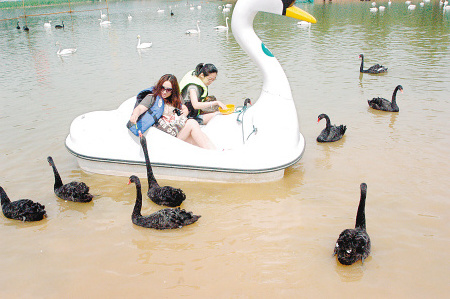 fun attraction Amusement park equipment  Pedal Boat  for sale