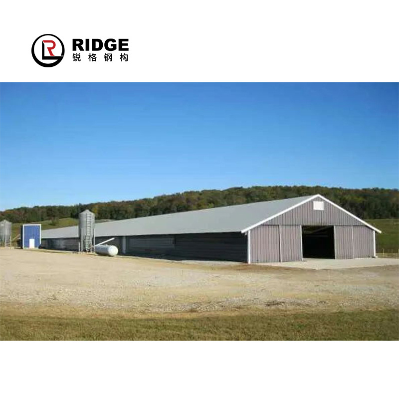 Prefab building steel structure Chicken Shed Latest Design Large Span Roof Truss Poultry House poultry farm