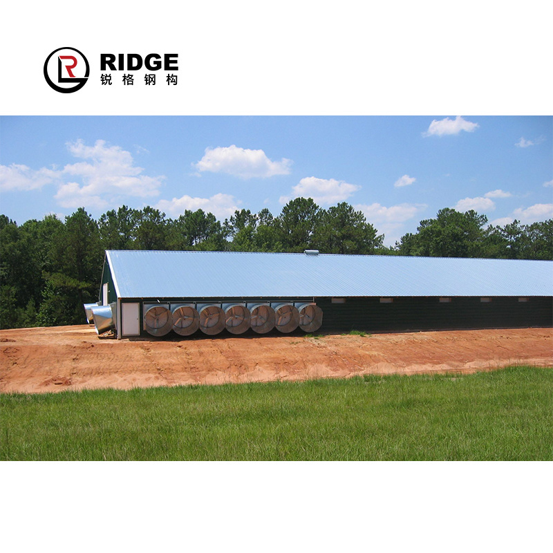 Prefab building steel structure Chicken Shed Latest Design Large Span Roof Truss Poultry House poultry farm