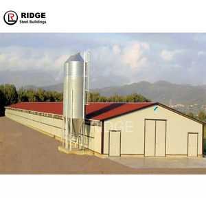 Prefab building steel structure Chicken Shed Latest Design Large Span Roof Truss Poultry House poultry farm