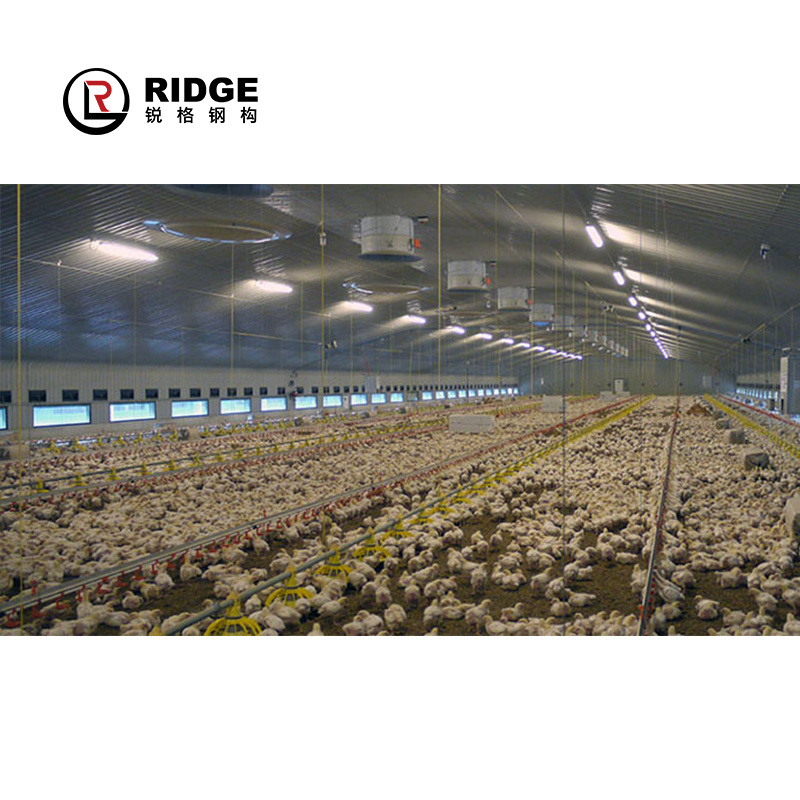 Fast Assemble Commercial Metal Buildings steel structure design poultry farm chicken buildings shed for sale