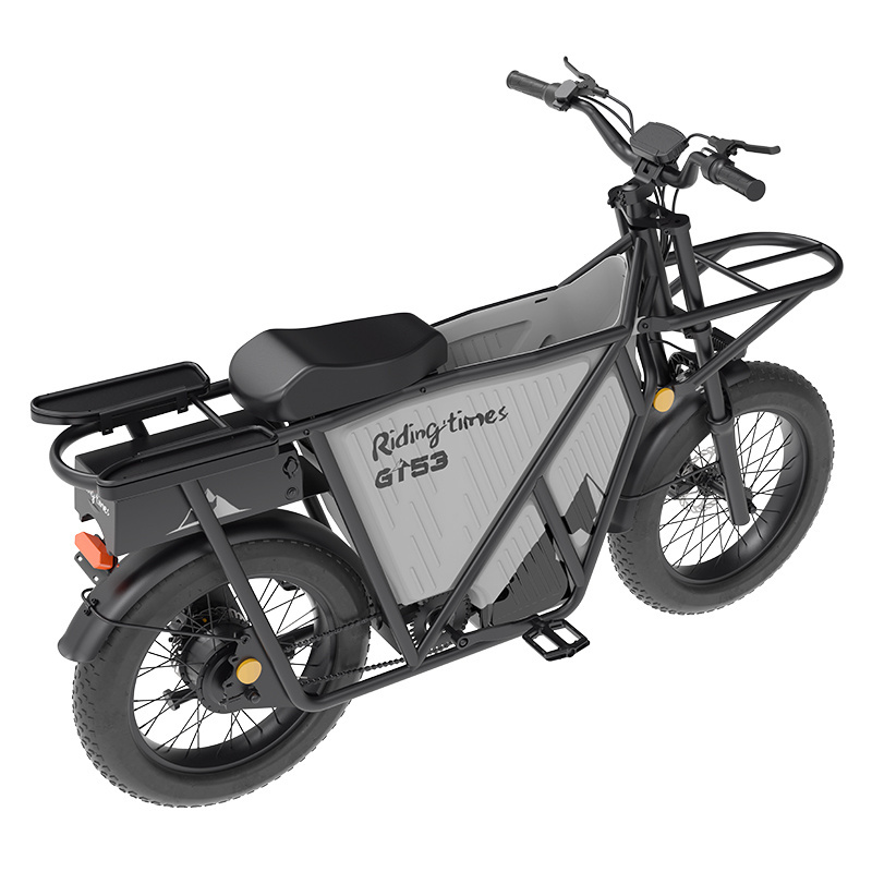 Riding'times GT53 Fast Shipping Electric Cargo Bike Long Tail Family Ebike 48V Ebike 2000W Fat Tire Family Cargo Long Tail Bike