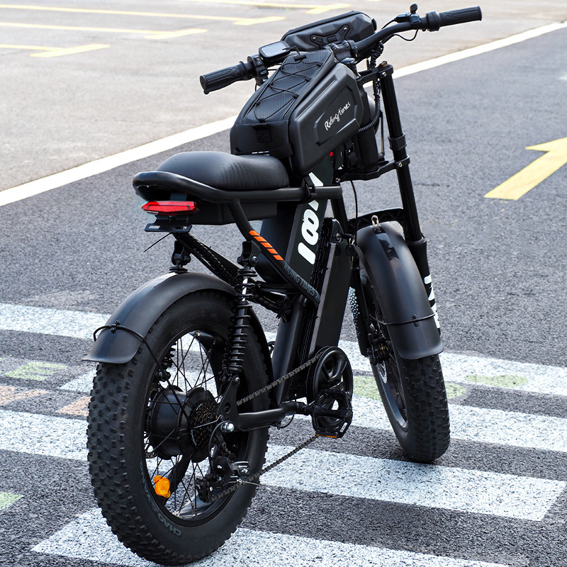 20inch Fat Tire 7 Speed Winter Moped Style Ebike Electric Dirt Bike With Two Battery in Riding times