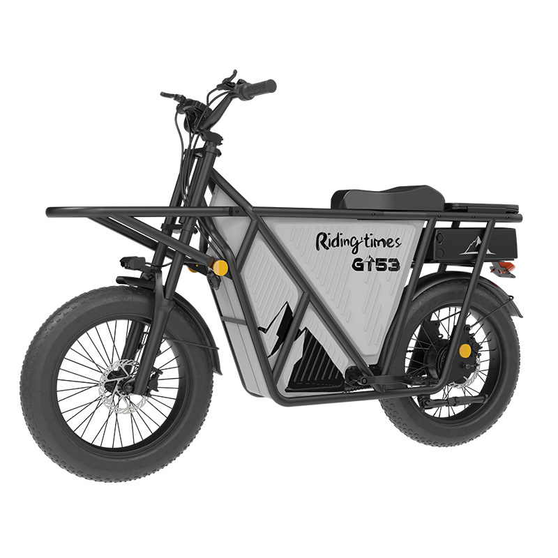 Riding'times GT53 Fast Shipping Electric Cargo Bike Long Tail Family Ebike 48V Ebike 2000W Fat Tire Family Cargo Long Tail Bike