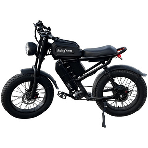 Two Battery Electric 20" Fat Tire e Bike Fatbike Bicycle 48V 250W Hybrid Chopper Bike Ebike 25kmh Design Off Road