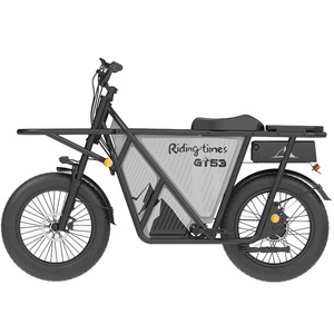 Riding'times GT53 Fast Shipping Electric Cargo Bike Long Tail Family Ebike 48V Ebike 2000W Fat Tire Family Cargo Long Tail Bike