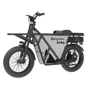 Riding'times GT53 2000w 48V 23.4Ah Cargo e-bike electric ebike 20 inch snow road load tire