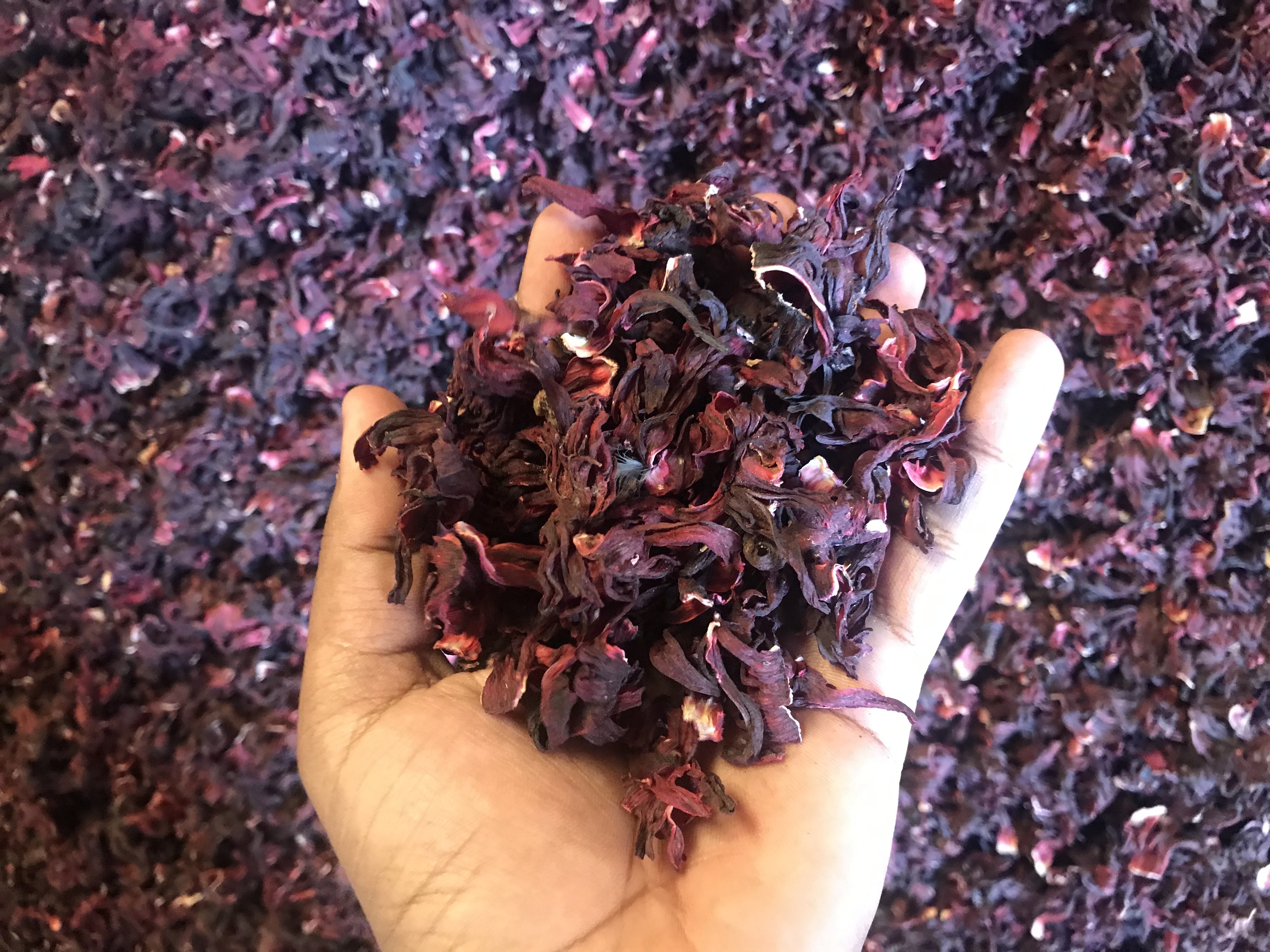 High-quality whole flower after drying drink tea and drink herbs loose tea hibiscus hawaiian hibiscus pattern hibiscus