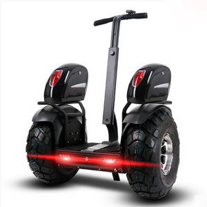 Two Wheels Self Balancing Electric Scooter with Handle and App remote