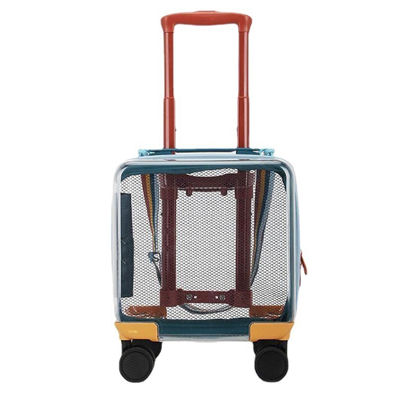 Transparent children's trolley luggage hard shell children's fashion luggage cute little suitcase cartoon print suitcase