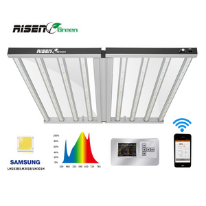 Risengreen 640 645 650Watt Carambloa Fullspectrum 1000W Vertical Farming Samsung Lm301B Lm301H Meanwell Bars Led Grow Lights