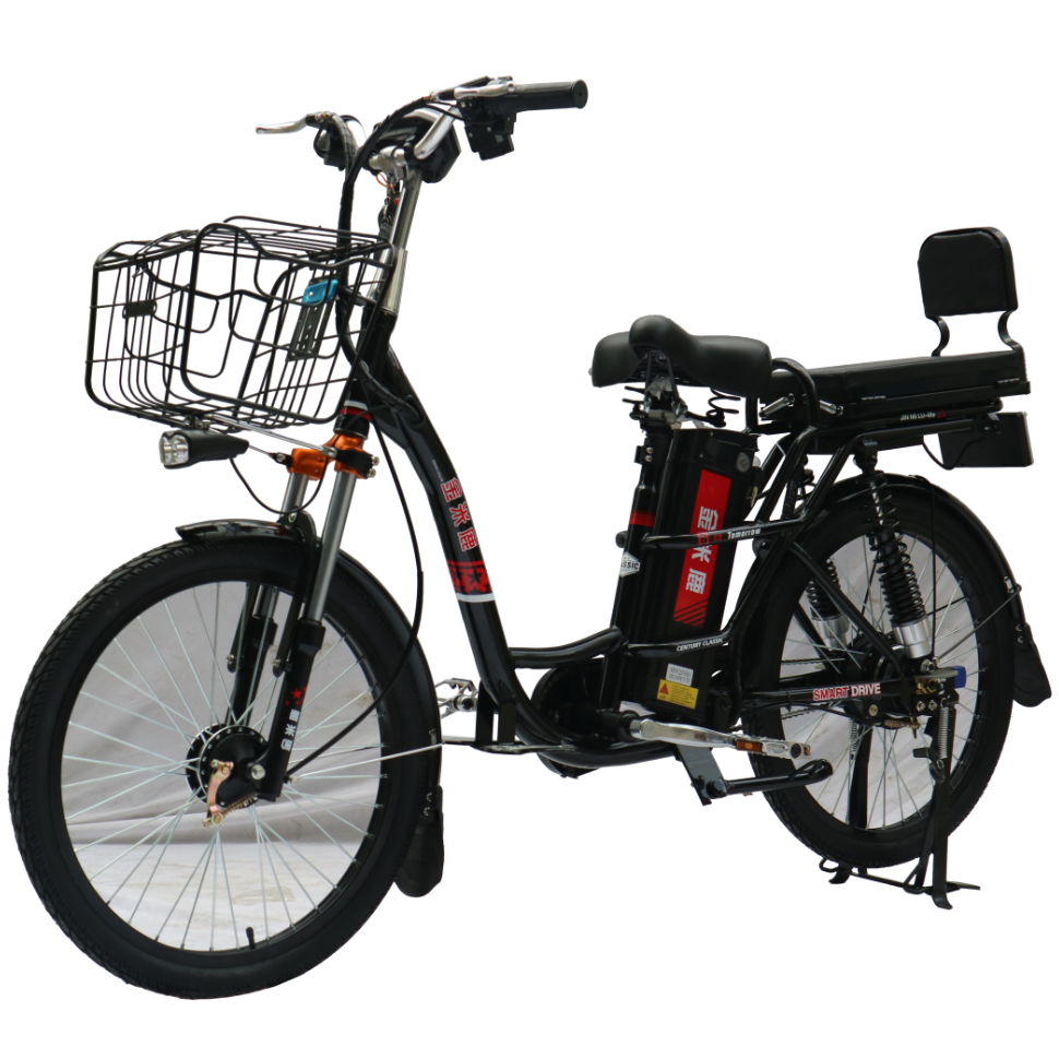 Wholesale Delivery Electric Bicycle 2 Seats Green Power 48V Electric Street Bike with Pedal Assist