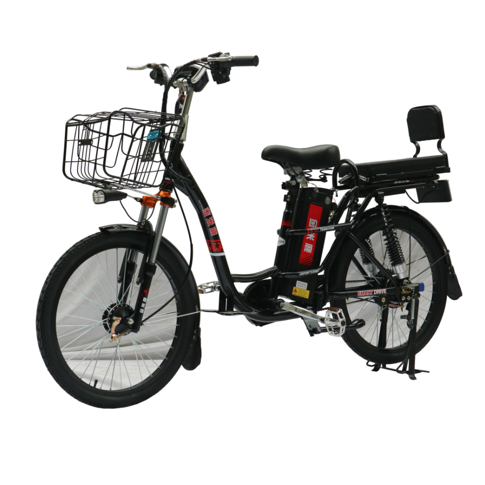 Wholesale Delivery Electric Bicycle 2 Seats Green Power 48V Electric Street Bike with Pedal Assist