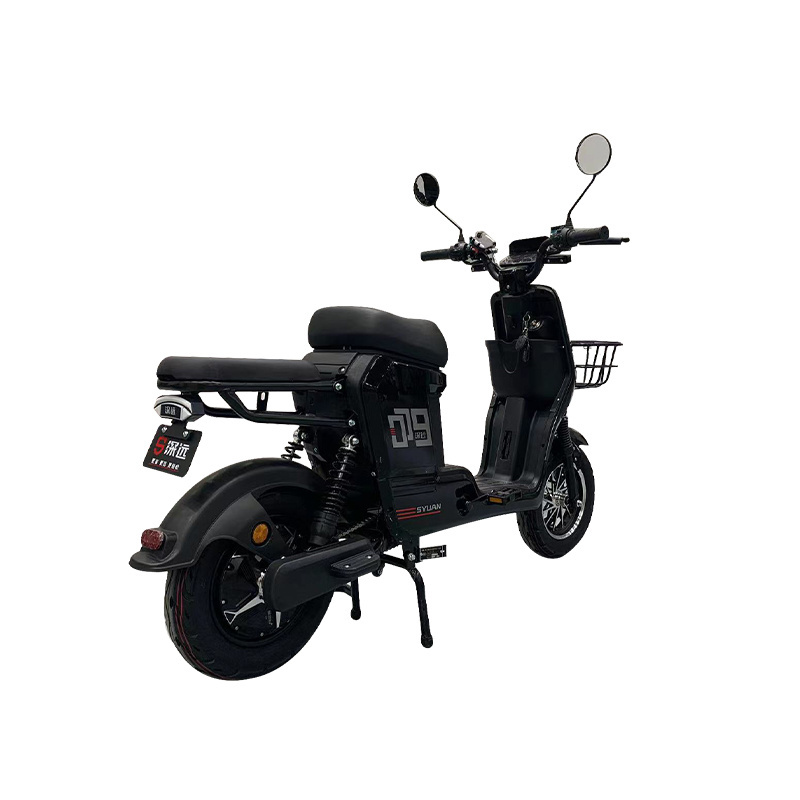 2 Wheel Electric Folding Bicycle 48v Fashion E Bike Smart Adult Electric Bicycle