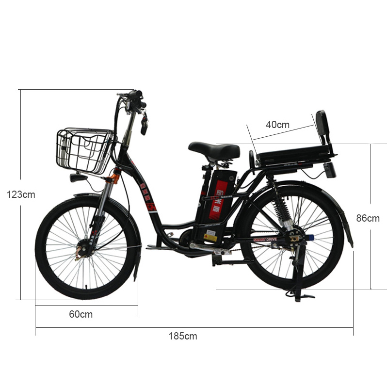 Wholesale Delivery Electric Bicycle 2 Seats Green Power 48V Electric Street Bike with Pedal Assist