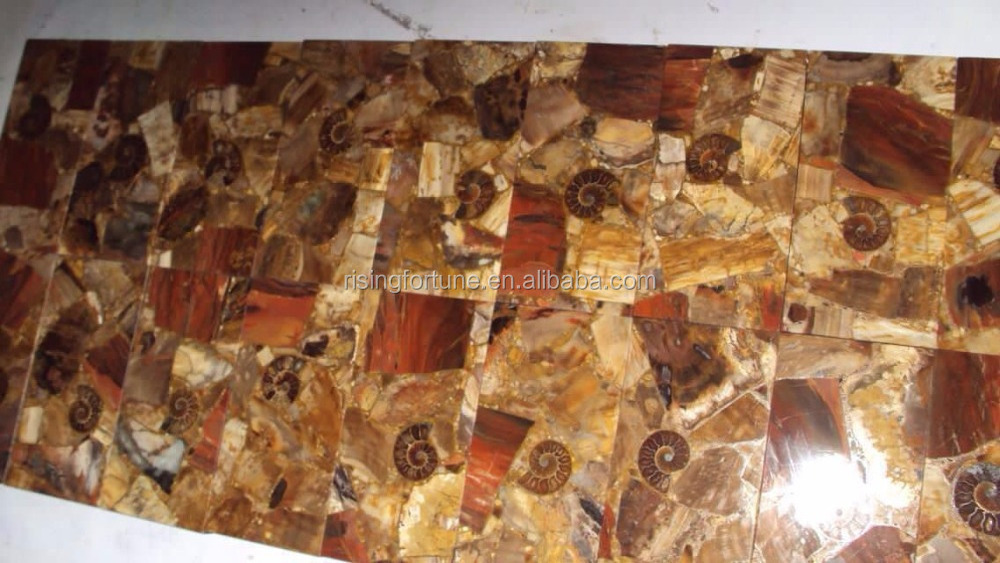 Petrified wood stone slabs for sale