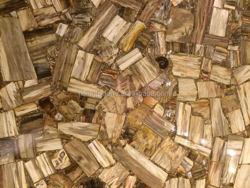 Petrified wood stone slabs for sale