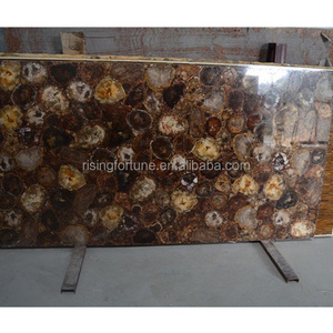 Petrified wood stone slabs for sale