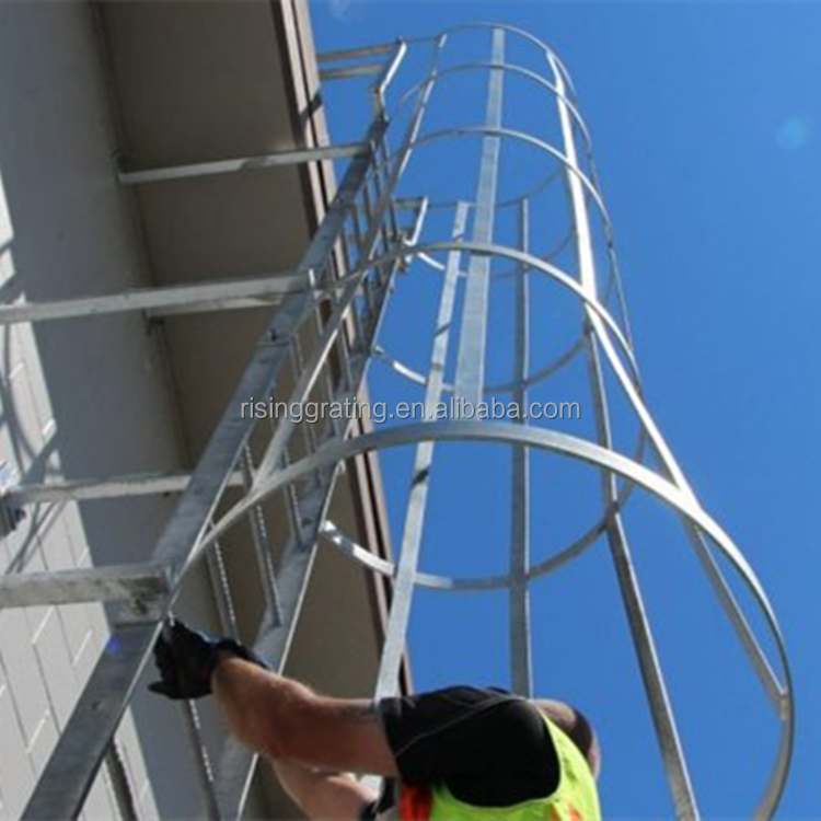 Safety Galvanized Aluminum Stainless Steel Cage Ladder