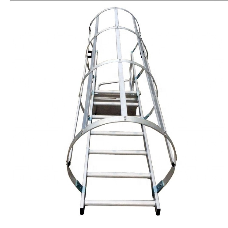 Secure Roof Access Welded Fixed Steel/Aluminum Construction Ladder