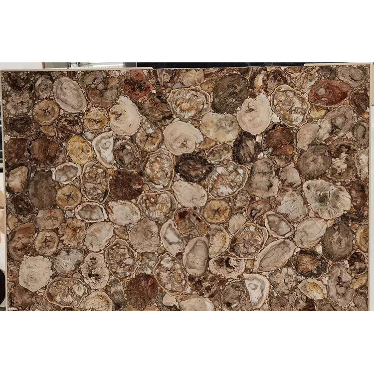 Round texture gemstone agate slab brown petrified wood countertop