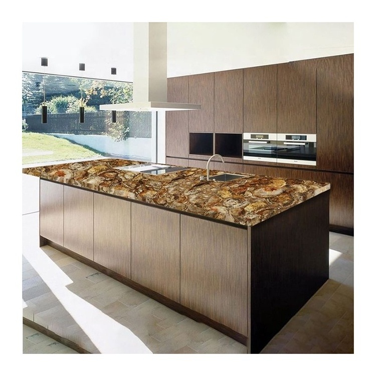 Round texture gemstone agate slab brown petrified wood countertop