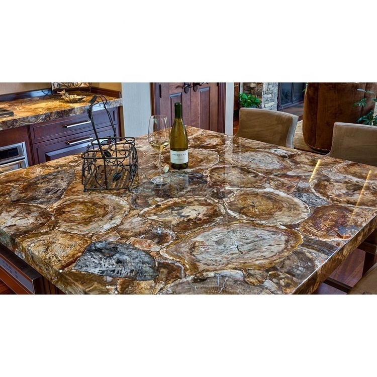 Round texture gemstone agate slab brown petrified wood countertop