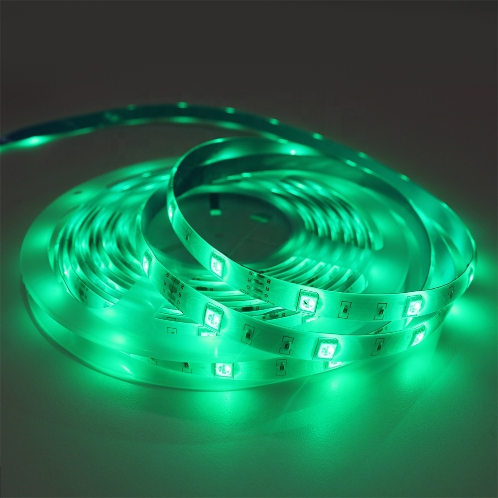 Waterproof IP 65 Remote Control Luces 12V Smart Tira 30 led/m RGB SMD 5050 Kit LED Strip Light