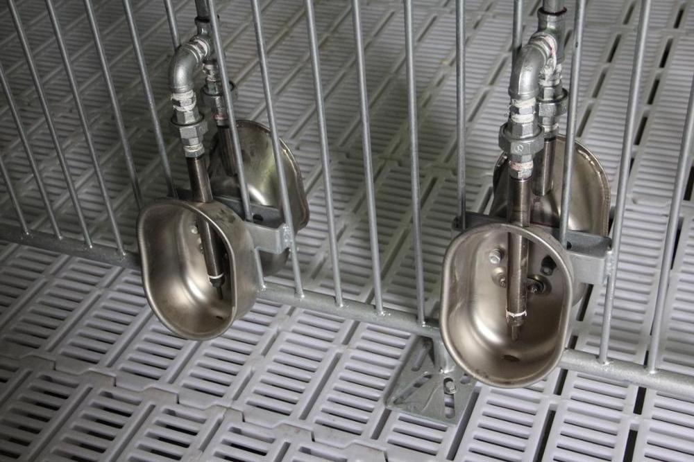 stainless steel water trough for elliptical pig drinking water bowl