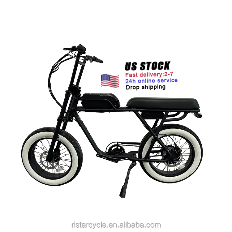 Electric Bike 20Inch Fat Tire Ebike 250W Urban Electric Bicycle 25Km/H Adult Fatbike Electric Bike Fat Tire Full Suspension